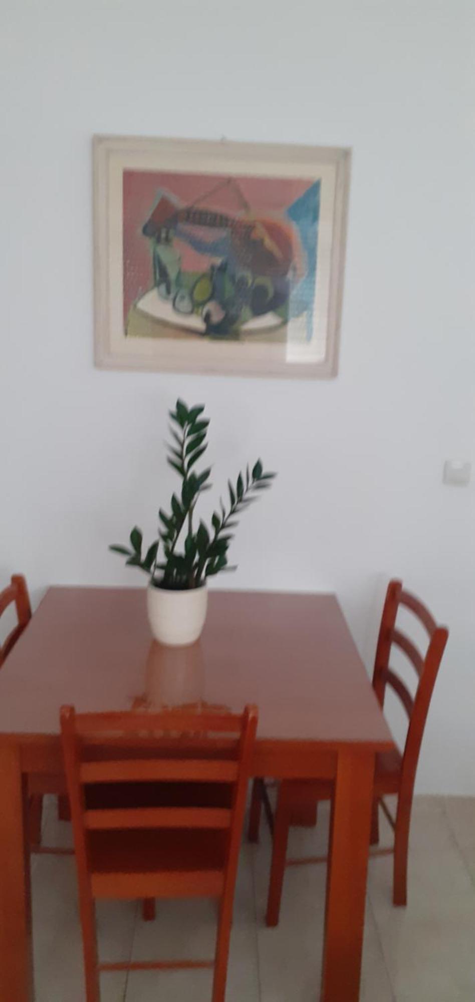 Apartment Calluna 스플리트 외부 사진