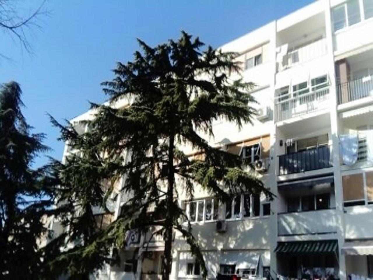 Apartment Calluna 스플리트 외부 사진